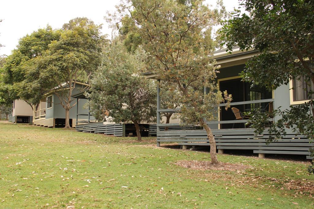 Depot Beach Cabins Villa Durras Kültér fotó